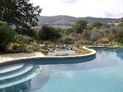  Lily ponds (Photo by Janet Kaye)