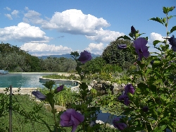 Garden across pool and ponds