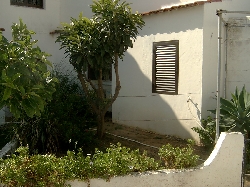 The rear garden