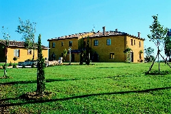 the garden with grass ideal for children