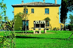 a particular of the large garden