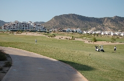 Get a buggy and beer and start playing