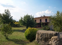 Villa with veranda,Garden,cherry trees
