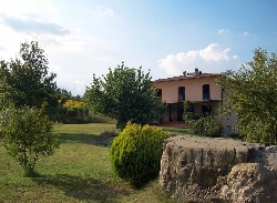 Villa with veranda,Garden,cherry trees