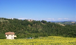 Villa with sunflowers,pool,view of Todi