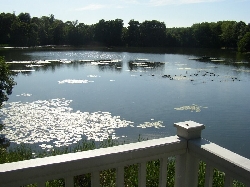 View of the lake from the deck