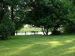 View from garden