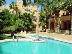 The pool