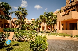 The complex