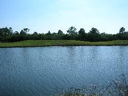 Looking across the lake