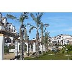 Gardens & Walkways