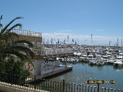 Marina, Torrevieja