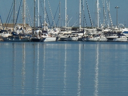 the Harbour