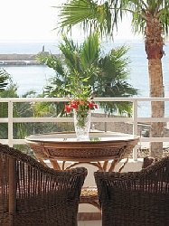 Enjoy a peaceful aspect of sea and palms