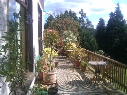 deck view