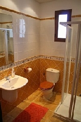Newly refurbished shower - bathroom