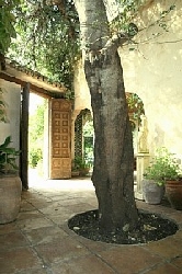 A carob tree graces the inner patio