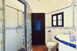 Modern walk-in shower room