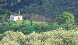 beautiful countryside around apartment