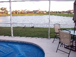 overlooking lake from the pool