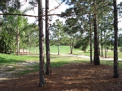 Golf Course