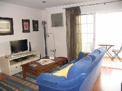 TV area in the living room