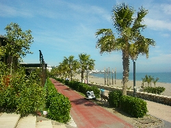 boulevard