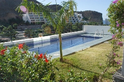 Beautiful swimming pool and garden