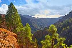 Beautiful landscapes