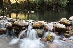 Rio/River Mondego
