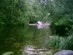 Rio/River Mondego
