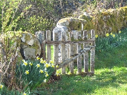 Garden gate at Carsebuie