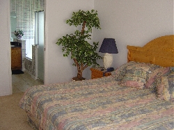 Master Bedroom (view 2)