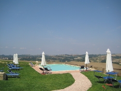 Views from the pool