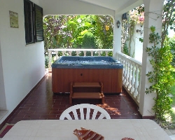 Jacuzzi And Terrace Area