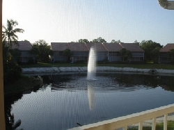 View from Master Bedroom