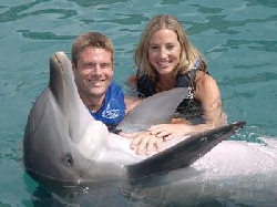 swim with dolphins