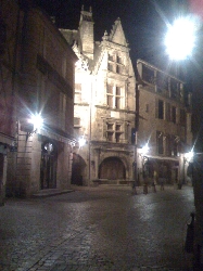 Nocturnal picture