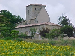 Local Church