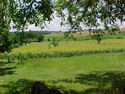 South facing view from property