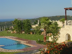 overview