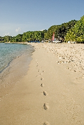 beautiful Sandy Lane beach