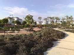 Avenue on resort