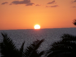 Sunset from the garden