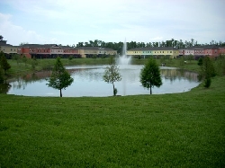 lakeview from lounge