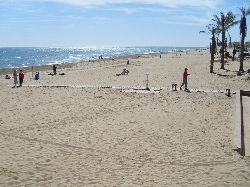 Guadamar beach