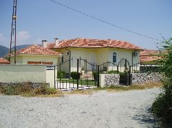 External View