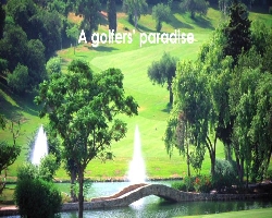 golf near by