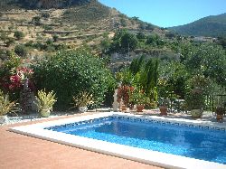 Pool & garden