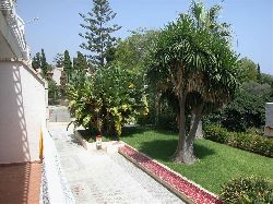 Communial gardens